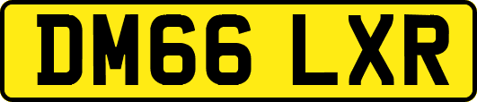 DM66LXR