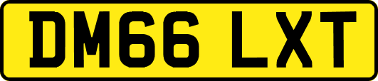 DM66LXT