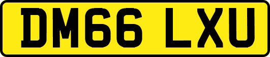 DM66LXU