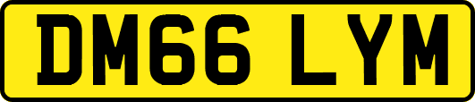 DM66LYM