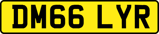 DM66LYR