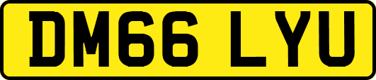 DM66LYU