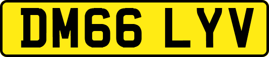 DM66LYV