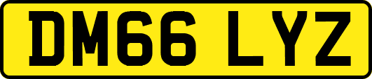 DM66LYZ