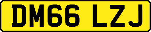 DM66LZJ
