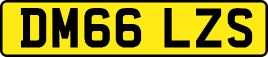 DM66LZS