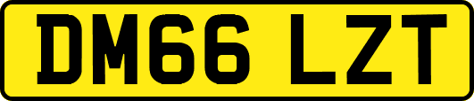 DM66LZT