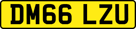 DM66LZU