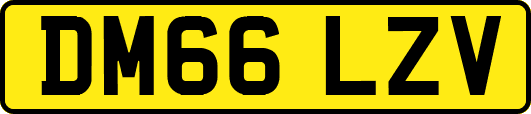 DM66LZV