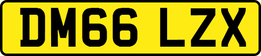 DM66LZX