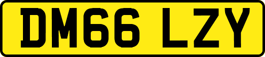 DM66LZY
