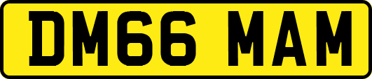 DM66MAM