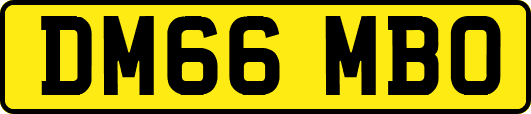 DM66MBO