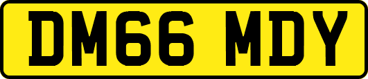 DM66MDY