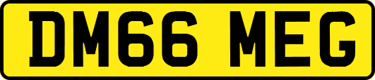 DM66MEG