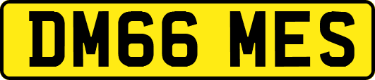 DM66MES