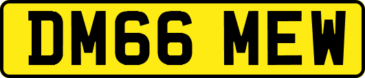 DM66MEW
