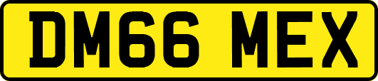 DM66MEX