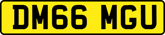 DM66MGU