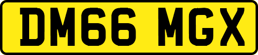 DM66MGX
