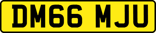 DM66MJU