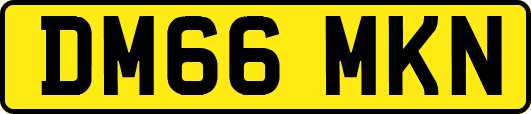 DM66MKN