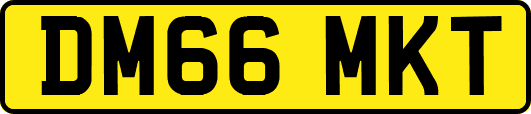 DM66MKT