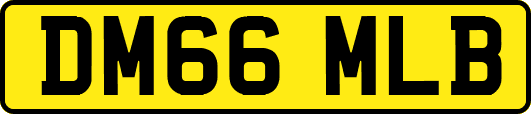 DM66MLB