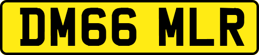 DM66MLR