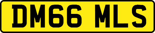DM66MLS
