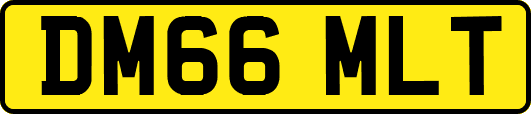 DM66MLT