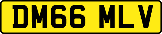 DM66MLV