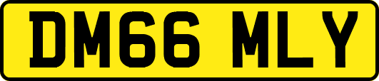 DM66MLY