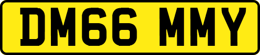 DM66MMY