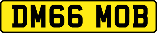 DM66MOB