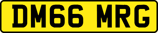 DM66MRG