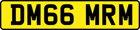 DM66MRM
