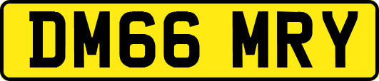 DM66MRY