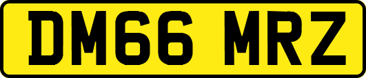 DM66MRZ