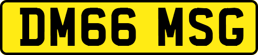 DM66MSG