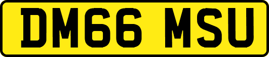 DM66MSU