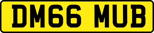 DM66MUB