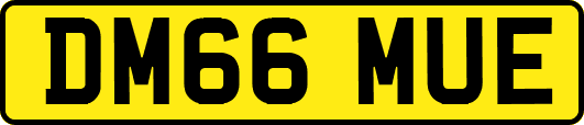 DM66MUE