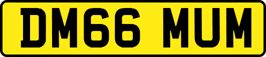 DM66MUM
