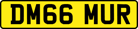 DM66MUR