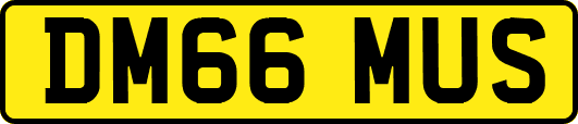 DM66MUS