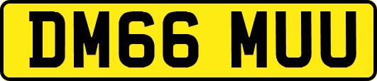 DM66MUU