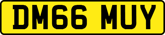 DM66MUY