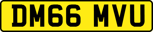DM66MVU