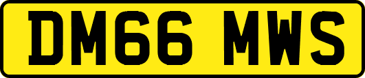 DM66MWS